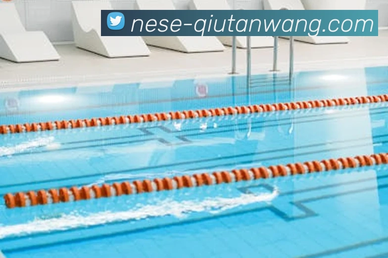 球探体育足球数据库品牌故事