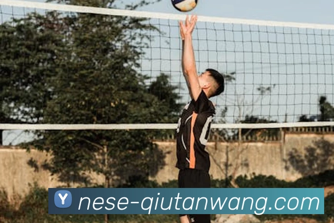 球探体育足球数据库服务体系